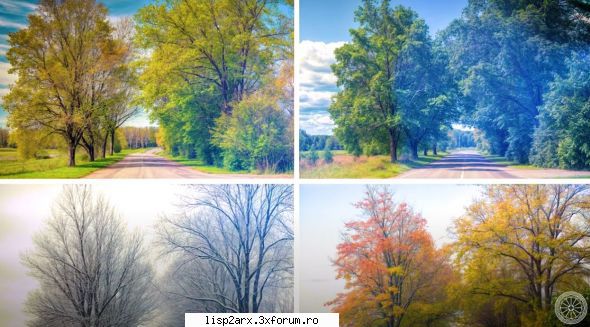- land surveyour time