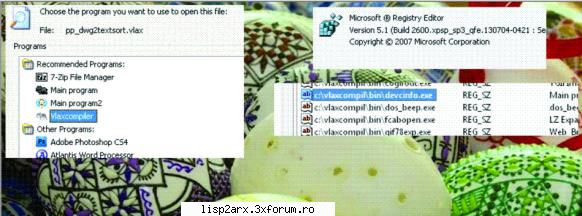 Delphi32 - Failed myProgran isInside OpenWidth? - How to rename my Program inside - Delphi , InnoPascal